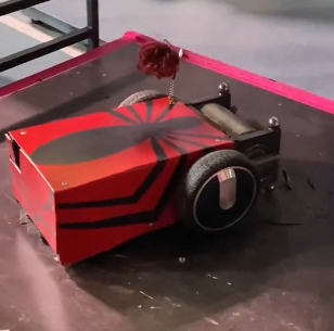 Competitor "Bugs Bunny" at Bitva Robotov Perm Regional Championship 2024