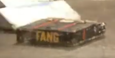 Fang