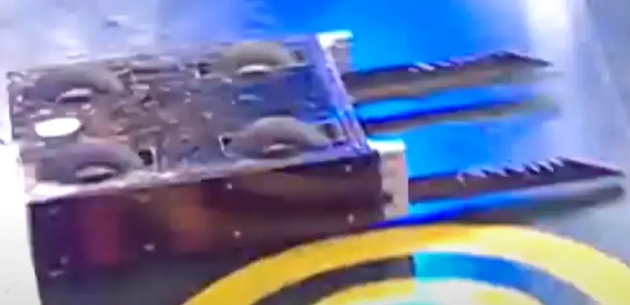 Competitor "뽈뽈이" at EBS Robot Power (2007)