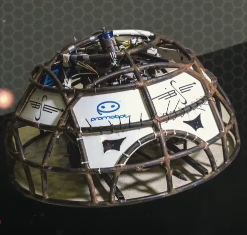 Competitor "Одуванчик" at Bitva Robotov Moscow 2016