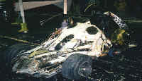 Competitor "Grim Reaper" at Brighton Model World 2001