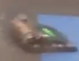 Competitor "Cheap Shot" at STEM TECH Olympiad 2012