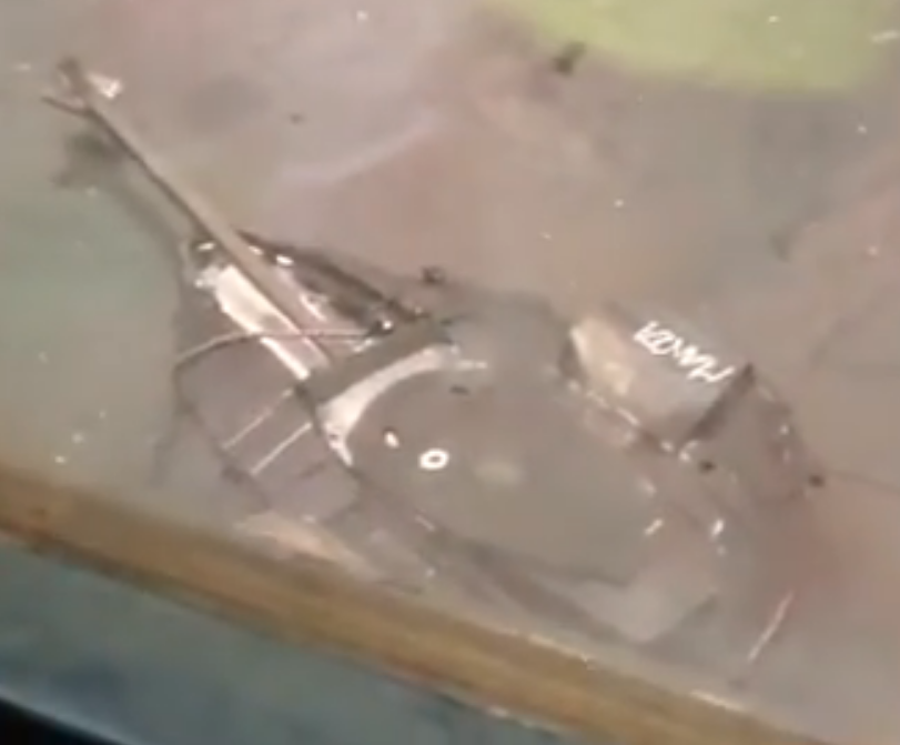 Competitor "Manta" at STEM TECH Olympiad 2012